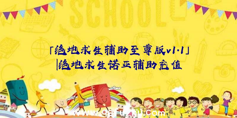 「绝地求生辅助至尊版v1.1」|绝地求生诺亚辅助充值